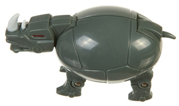 Rhinorb