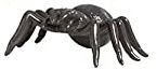 Spinne