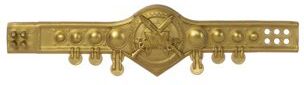 Championship Belt