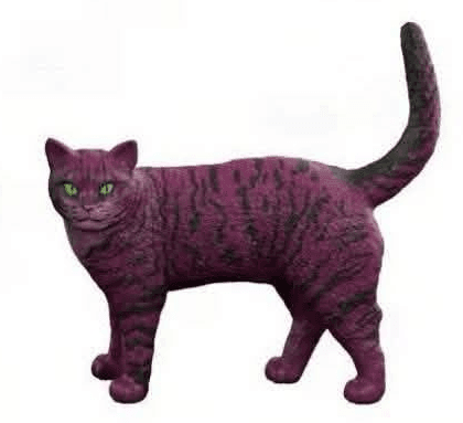 Katze