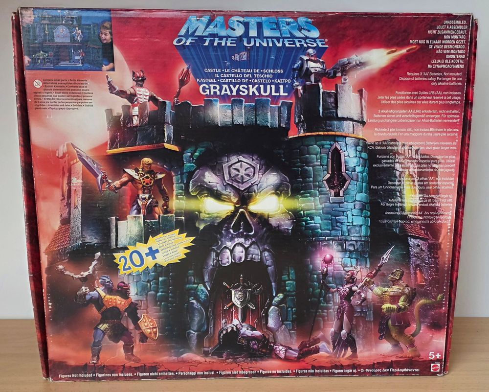 Grayskull ohne Chip – Bild 1