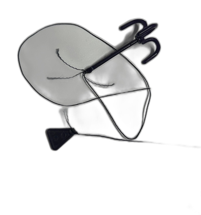 Wurfanker mit Seil und Clip